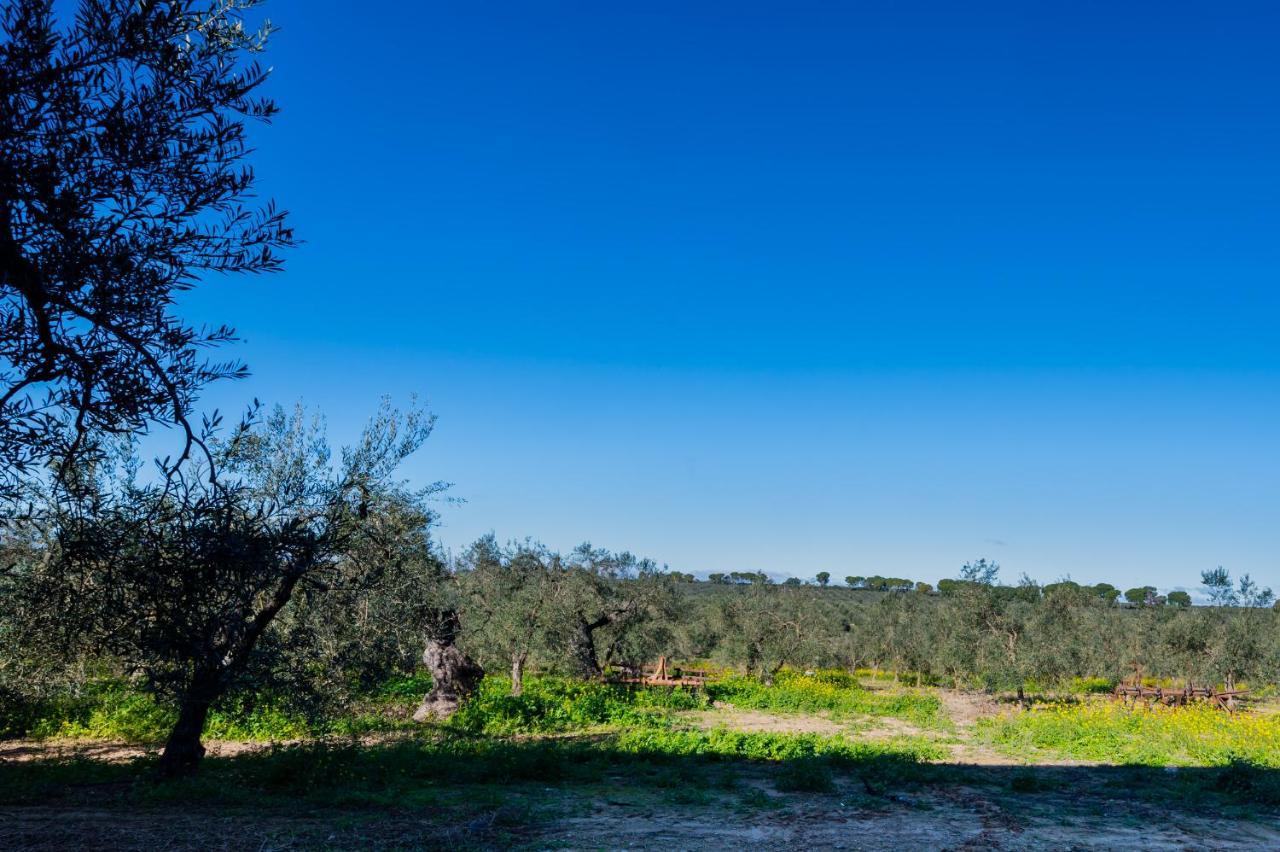 El Paraiso Del Olivar Больюльос-де-ла-Митасьон Экстерьер фото